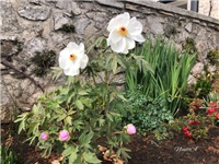 f8d7e562-20190401 Bozuri.jpg